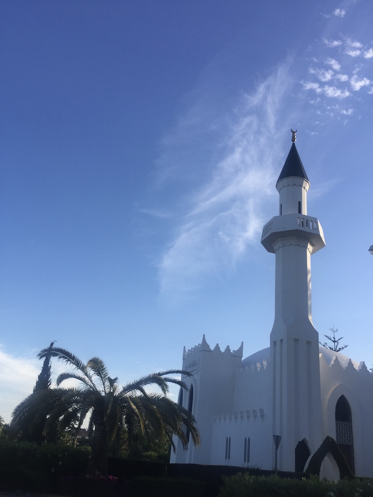 Hotel 5* Marbella - Halal 
